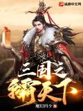 三国之争霸天下